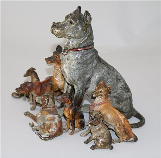A fine late 19th century Austrian cold painted bronze group of eight dogs, W.8.5in. H.7in.